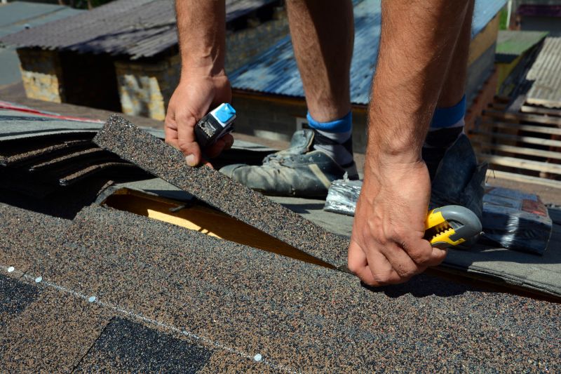 Shingle Damage Restoration